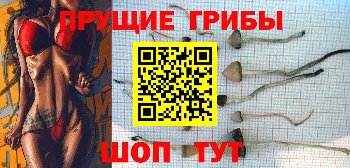 Псилоцибиновые грибы мицелий  купить наркотик  Галлюциногенные грибы мицелий  Ишим  Вход с VPN 