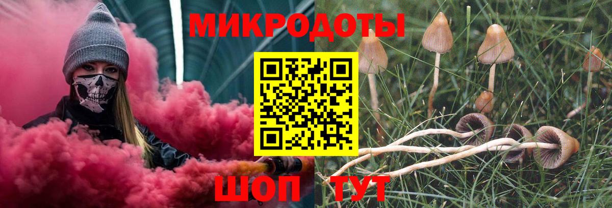 Галлюциногенные грибы GOLDEN TEACHER Ишим